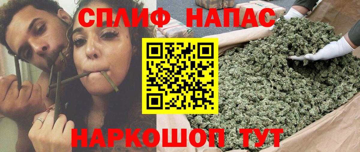Каннабис сатива Югорск